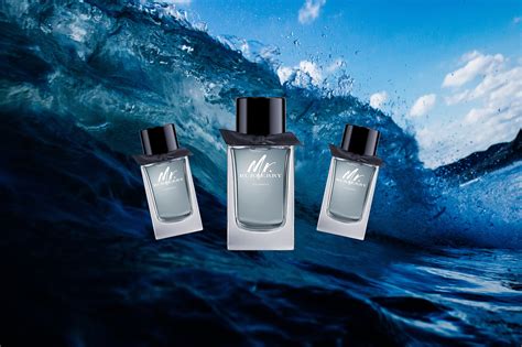 mr Burberry indigo cologne reviews